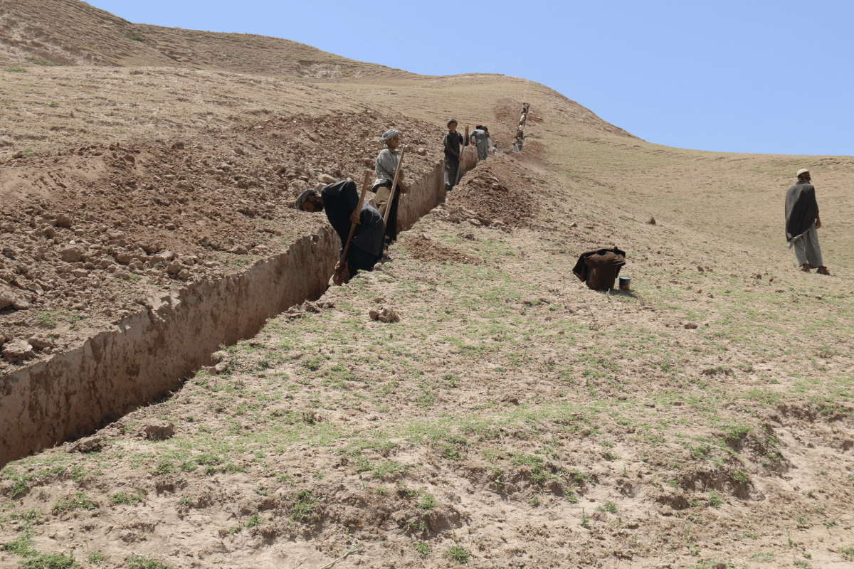 Dry grass landscape and people standing in line, digging a long, narrow ditch into the ground.
