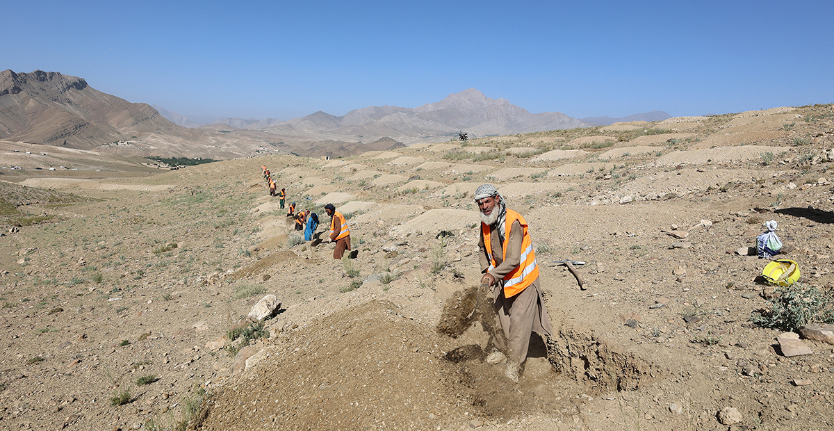 An image of an arid landscape with a clear blue sky in the background. The image shows several people wearing high-visibility vests standing in a row and digging holes.